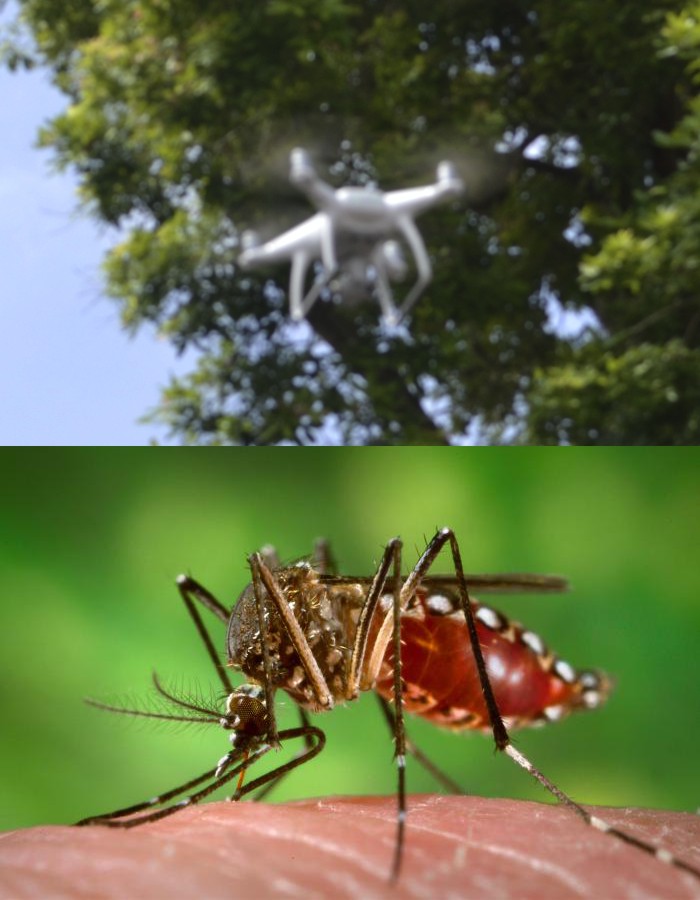 Fighting Dengue Fever with Aerial Drones | Digital Futures